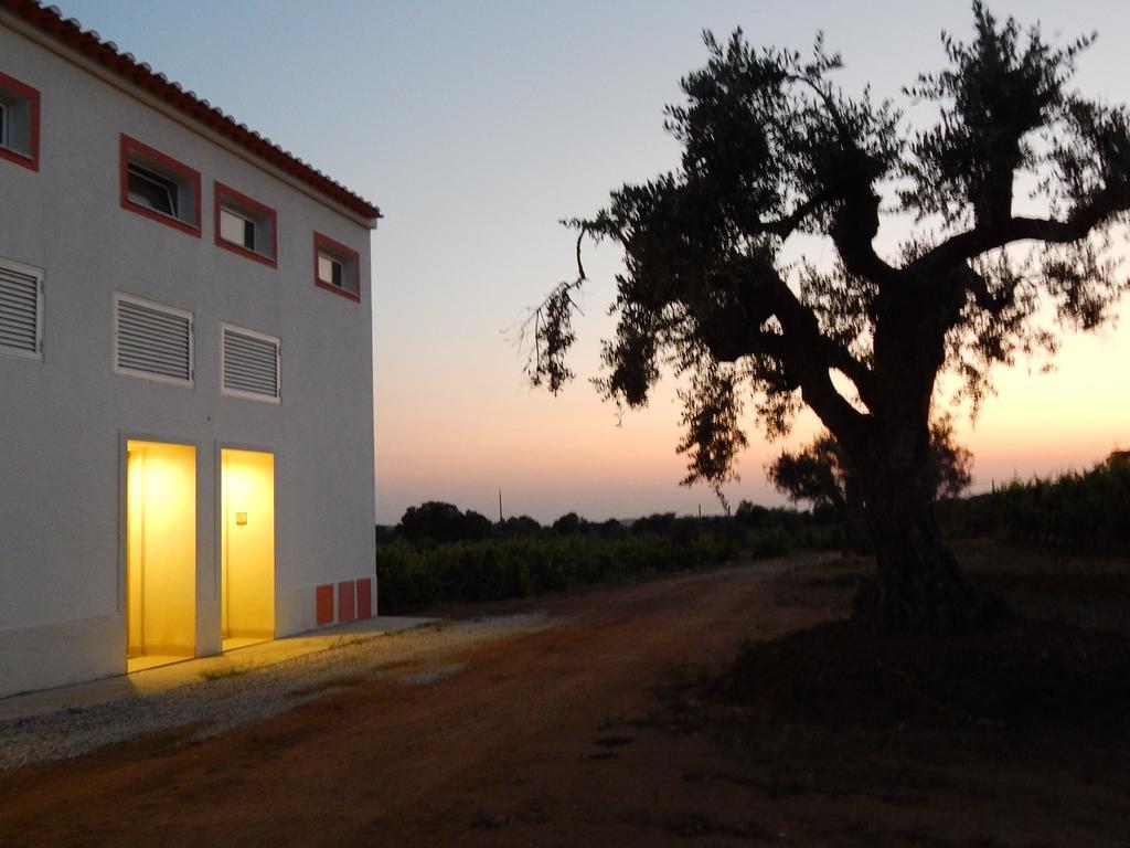Quinta Das Ratoeiras Vidigueira Exterior foto